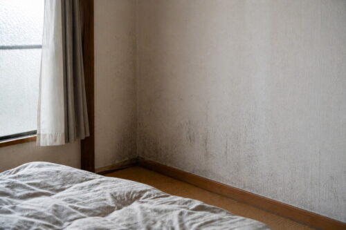 マンションの壁紙に黒ずみが発生している様子