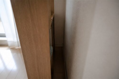 家具の裏や収納など湿気がたまりやすい場所